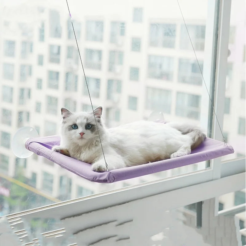 New pet cat hammock hanging cat bed bearing 20 kg comfortable sunny window seat kitten rock climbing frame pet supplies - JoySkyProducts