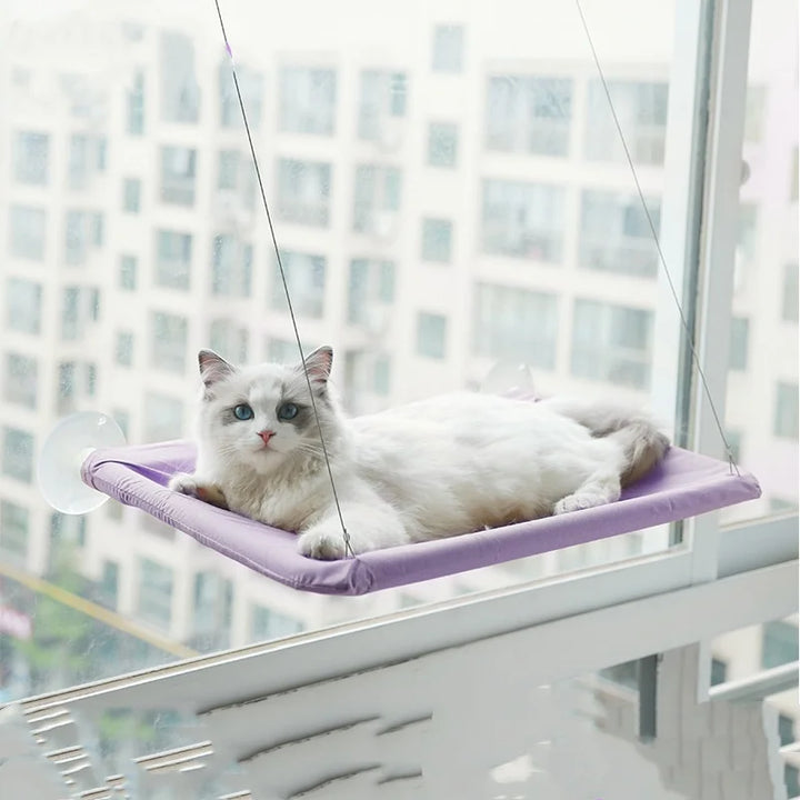New pet cat hammock hanging cat bed bearing 20 kg comfortable sunny window seat kitten rock climbing frame pet supplies - JoySkyProducts