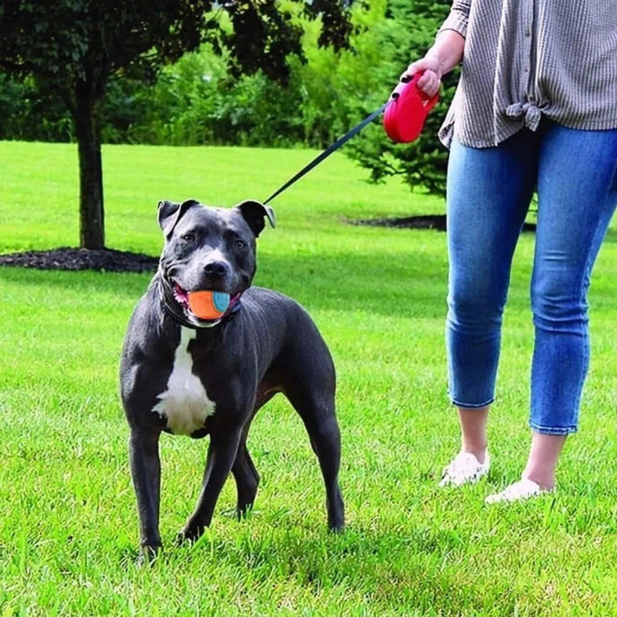 Pet Chewing Teeth Cleaning Treatment Elastic Ball - JoySkyProducts