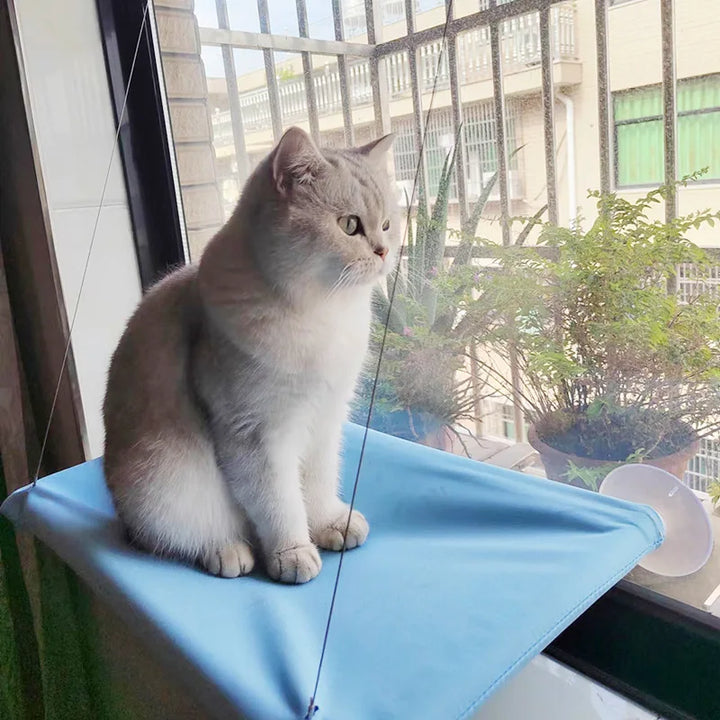 New pet cat hammock hanging cat bed bearing 20 kg comfortable sunny window seat kitten rock climbing frame pet supplies - JoySkyProducts