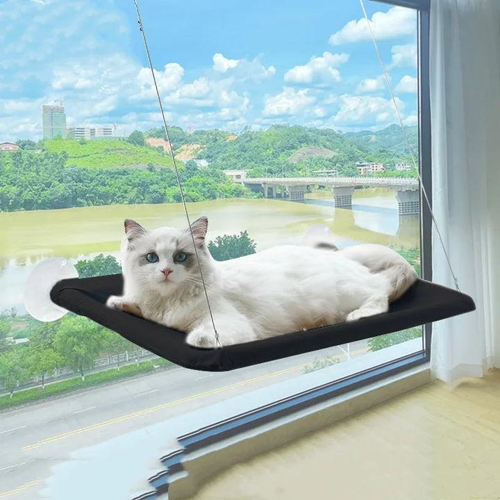 New pet cat hammock hanging cat bed bearing 20 kg comfortable sunny window seat kitten rock climbing frame pet supplies - JoySkyProducts