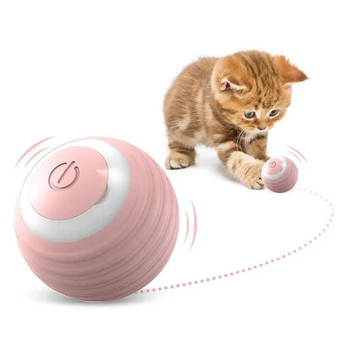 Gravity Rolling Self Indulgence Bite Resistant Ball Pet Toy - JoySkyProducts