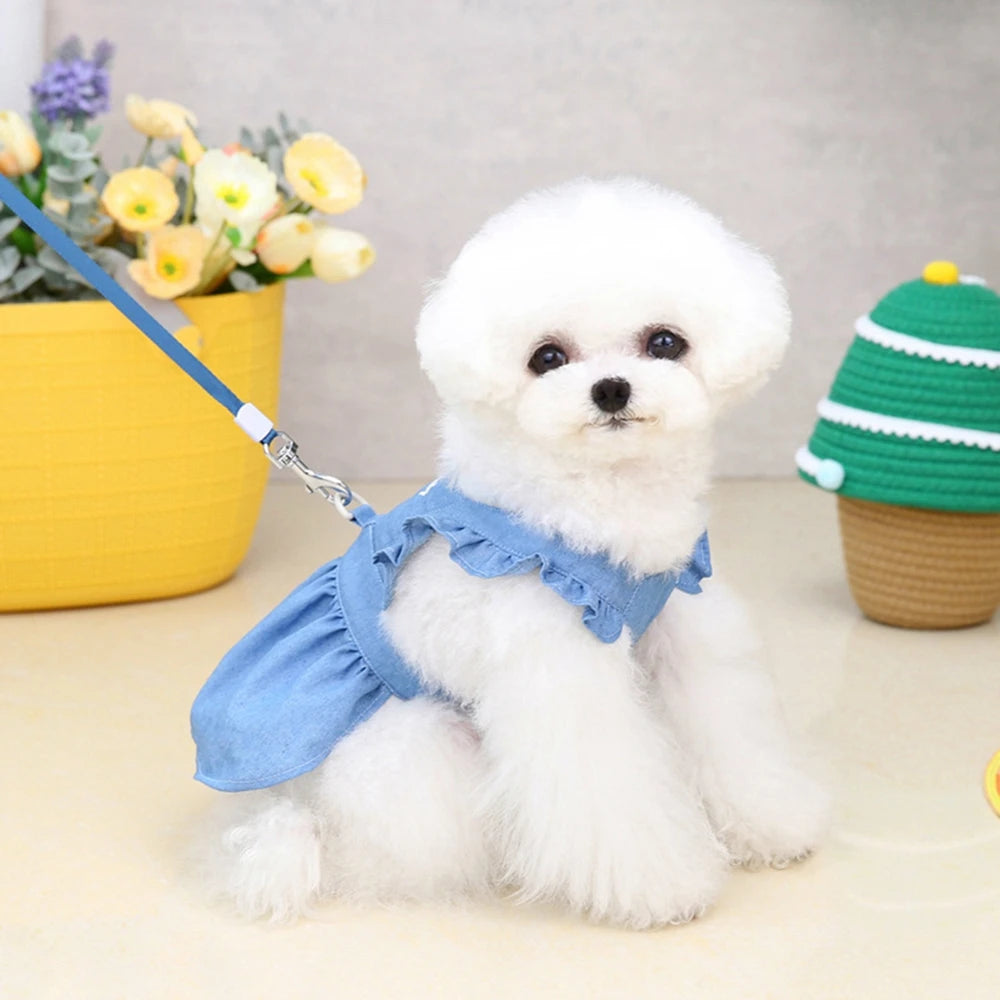 Small Dog Dress With D-Ring Denim Skirt Soft Tractable Jean - JoySkyProducts