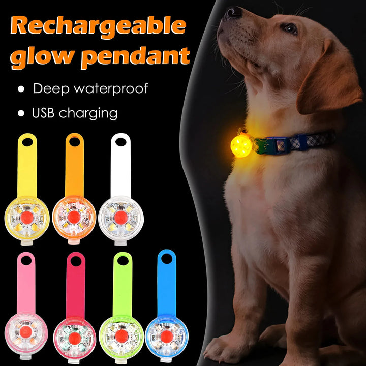 LED Pet Dog Cat Collar Pendant for Night Safety - JoySkyProducts