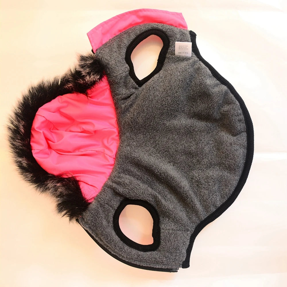 Winter Pet Dog Jacket With Harness Warm Dog Clothes For Small Medium Dogs Coats Waterproof Pet Coat Puppy French Bulldog Outfits