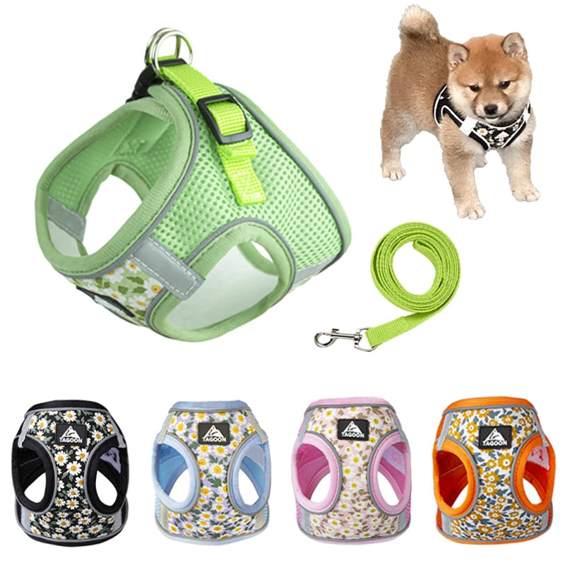 Pet Harness with Leash Reflective Breathable Chest Strap - JoySkyProducts