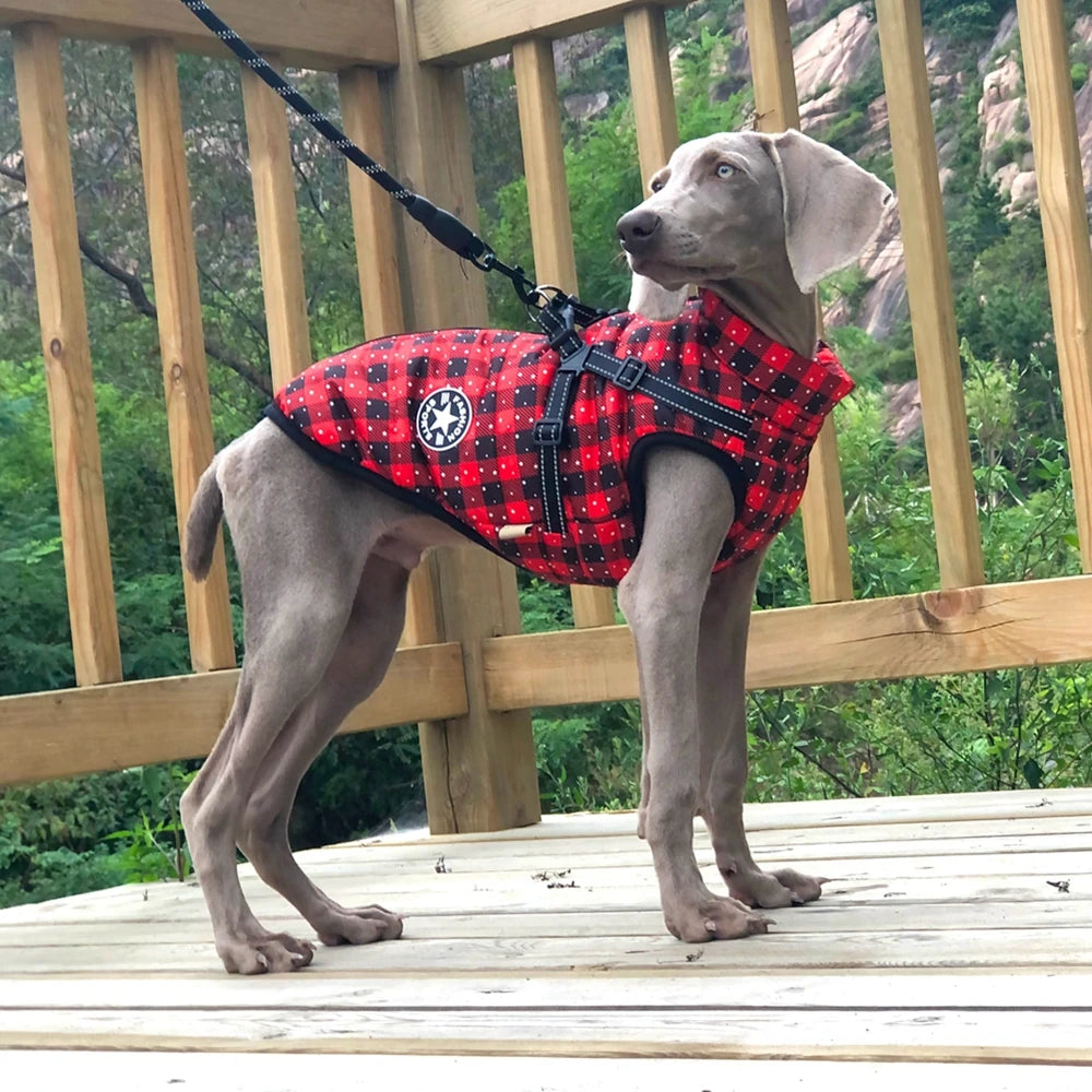 Winter Pet Dog Jacket With Harness Warm Dog Clothes For Small Medium Dogs Coats Waterproof Pet Coat Puppy French Bulldog Outfits