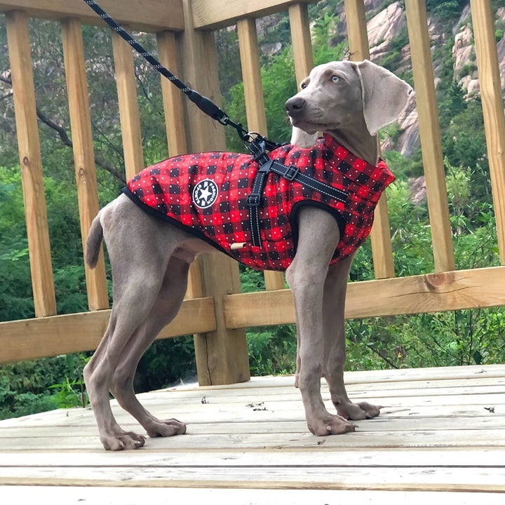 Winter Pet Dog Jacket With Harness Warm Dog Clothes For Small Medium Dogs Coats Waterproof Pet Coat Puppy French Bulldog Outfits