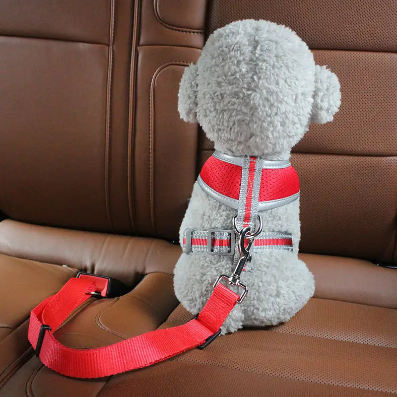 Pet Seat Belt Safety Protector for Travel - JoySkyProducts