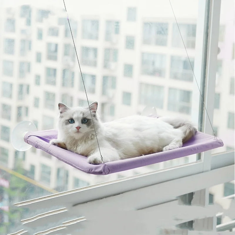 New pet cat hammock hanging cat bed bearing 20 kg comfortable sunny window seat kitten rock climbing frame pet supplies - JoySkyProducts