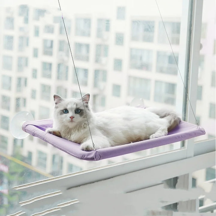 New pet cat hammock hanging cat bed bearing 20 kg comfortable sunny window seat kitten rock climbing frame pet supplies - JoySkyProducts