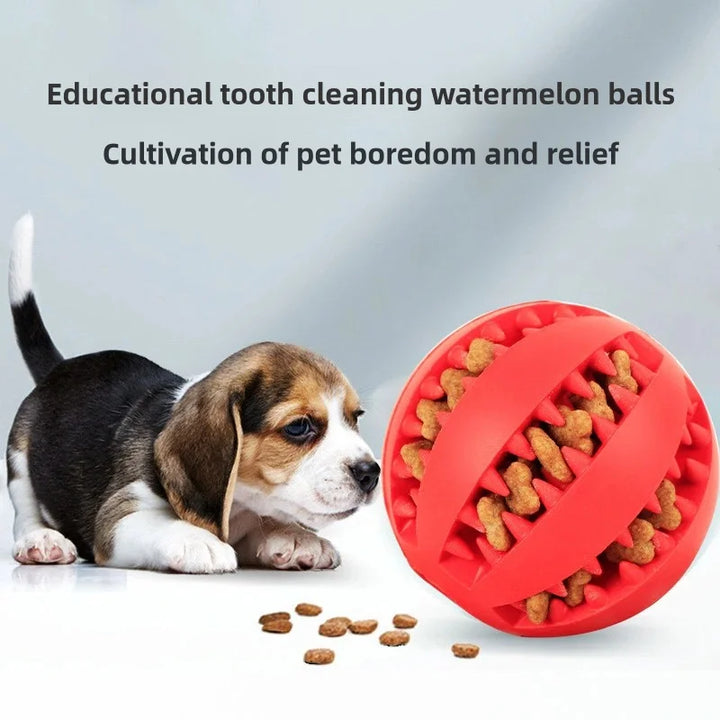 Pet Chewing Teeth Cleaning Treatment Elastic Ball - JoySkyProducts