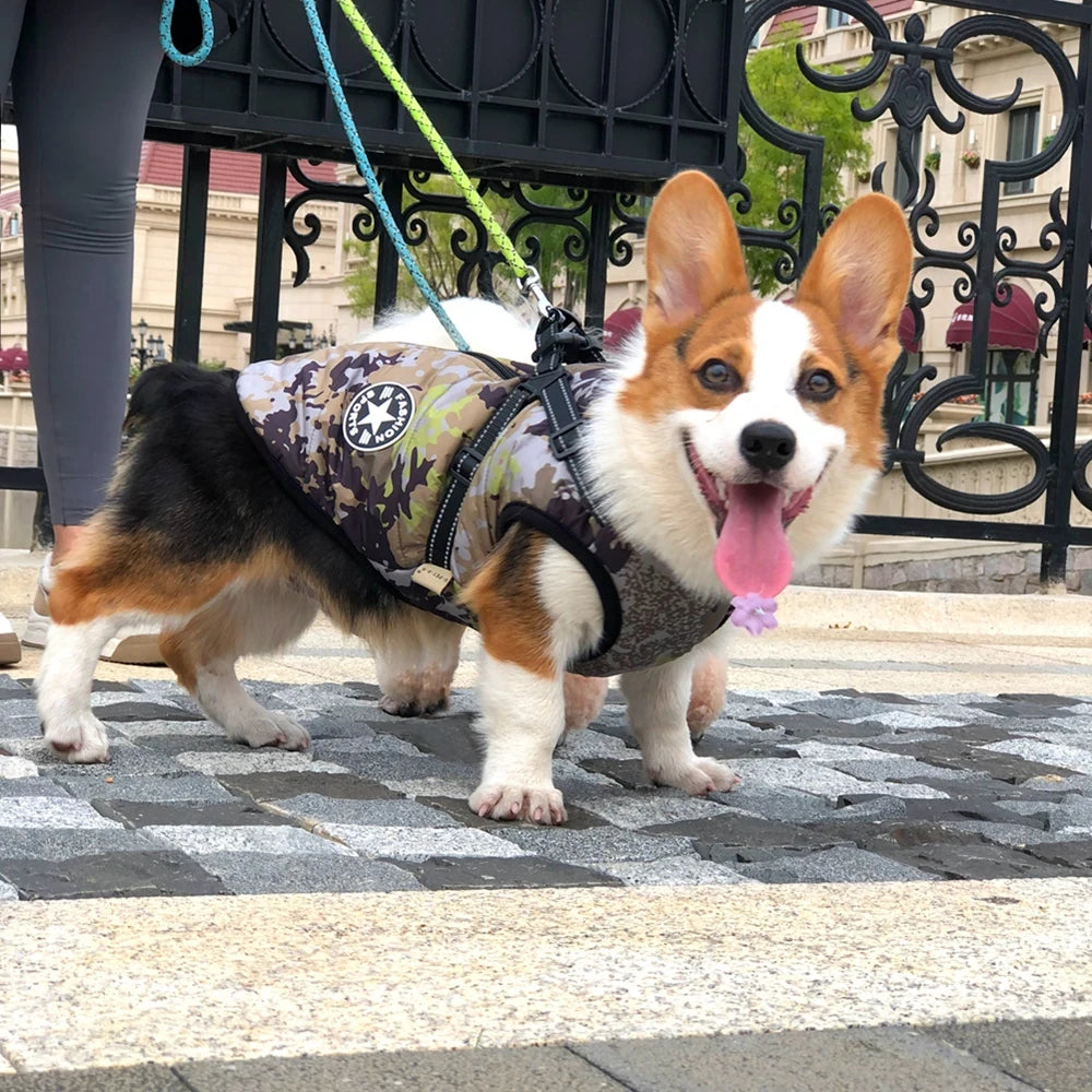 Winter Pet Dog Jacket With Harness Warm Dog Clothes For Small Medium Dogs Coats Waterproof Pet Coat Puppy French Bulldog Outfits