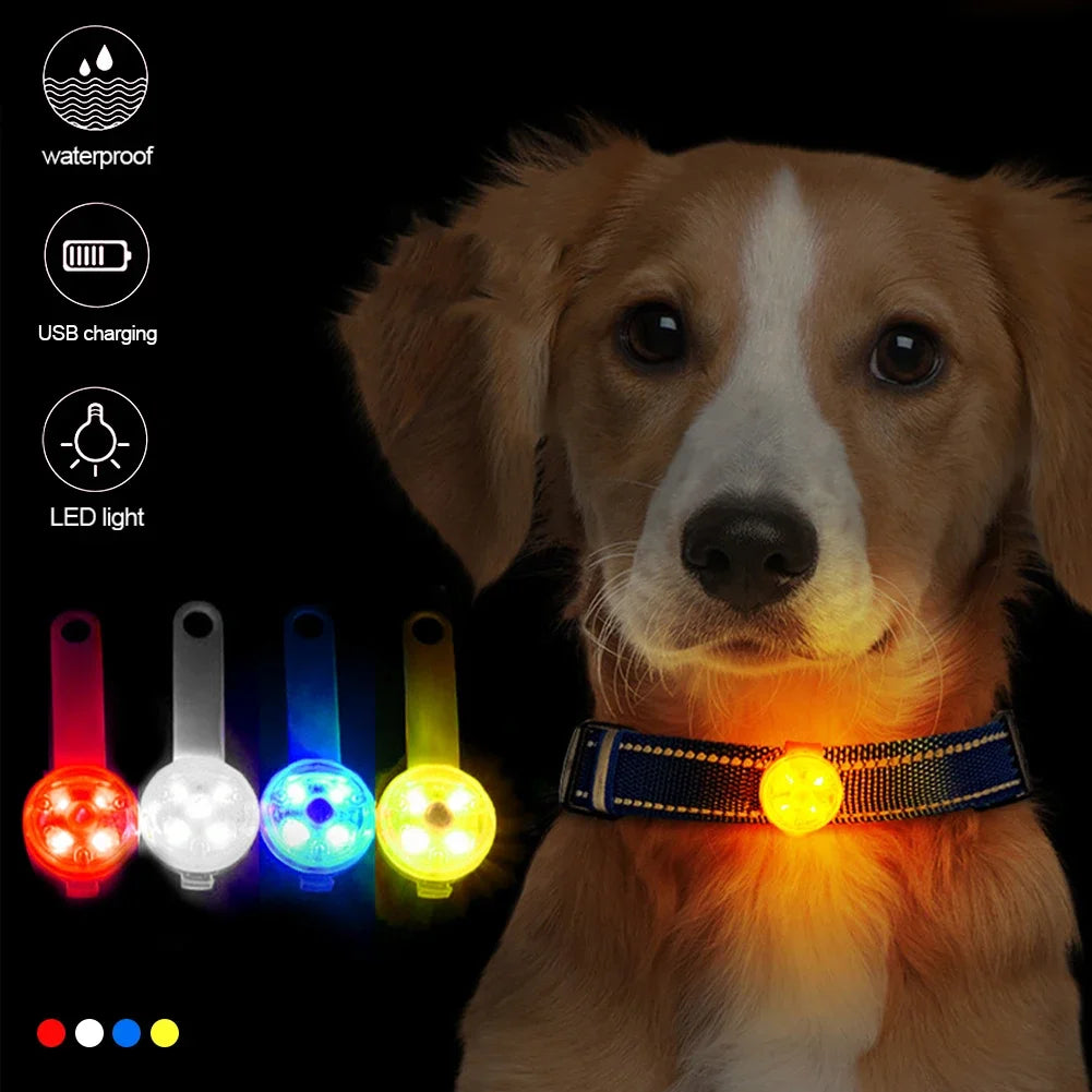 LED Pet Dog Cat Collar Pendant for Night Safety - JoySkyProducts