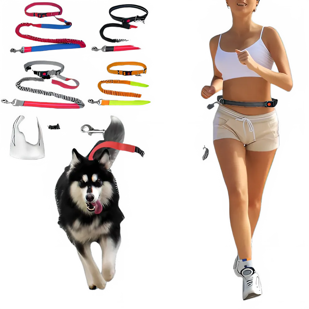 cae0afe9-c256-4e8c-9341-523d5e931c58