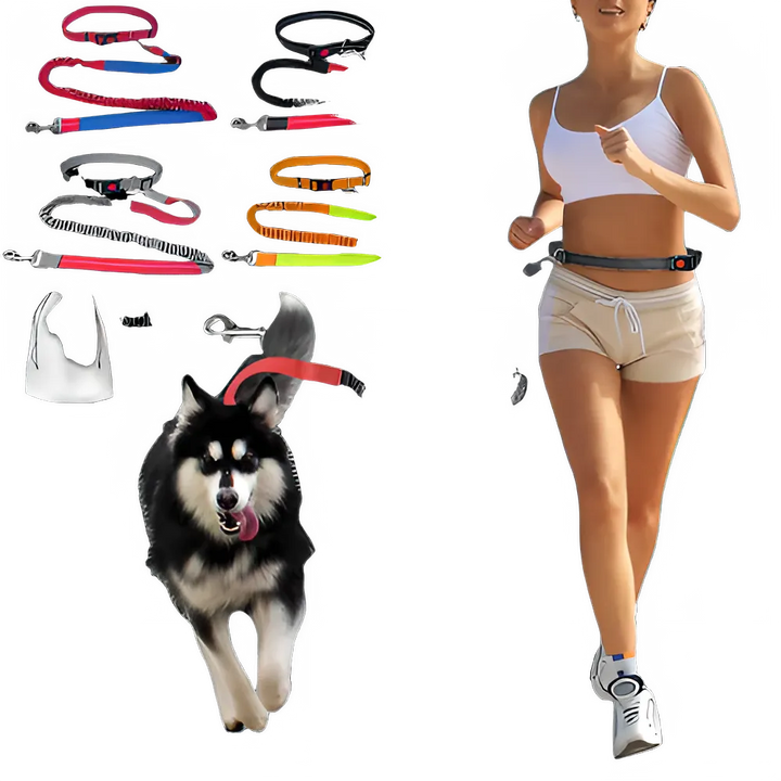 cae0afe9-c256-4e8c-9341-523d5e931c58